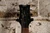 Dean EVO Black Made in Korea (Used)