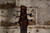 Ibanez SR-505E 5 String Brown Mahogany (Used)