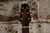 Takamine TSF40C Legacy w/ OHSC (Used)