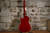 H. Jimenez LBQ4E Transparent Red w/ Bag (Used)