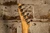 1990s Stephen's S-Model Stratosaurus Orange (Made in USA)