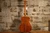 Blueridge BR-193A Historic Series Craftsman 000 w/Gig Bag
