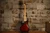 Sterling by Music Man StingRay 5 Red Burst (Used)