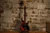 Sterling by Music Man StingRay 5 Red Burst (Used)