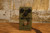 Electro Harmonix Green Russian Big Muff (Used)