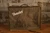 Fender Blues Deluxe Reissue 40 Watt Tweed 1X12 Tube Combo w/ Cover (Used)