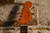 Fender Sonoran SCE (Used)