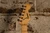 Squier Mini Jazzmaster HH Surf Green w/ Gig Bag (Used)