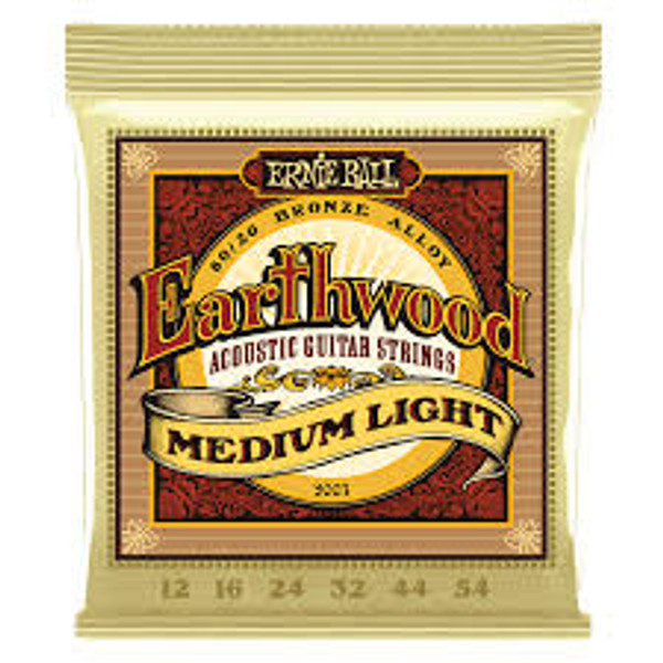 Ernie Ball Earthwood Medium Light 12-54