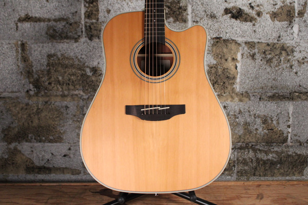 Takamine GD20CE-NS
