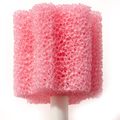 Sage Toothette Oral Swab Untreated Stryker Home Care