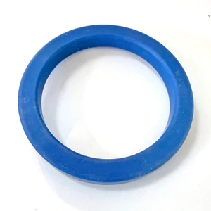 Silicon Group Gasket (E61)