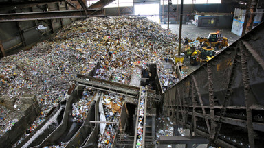 What about that "Mountain of Cardboard?" What about that "Mountain of Cardboard?"