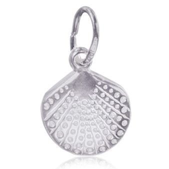 STS Sea Shell (large)