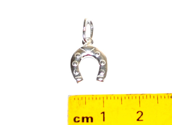 STS Horse Shoe (small) Charm
