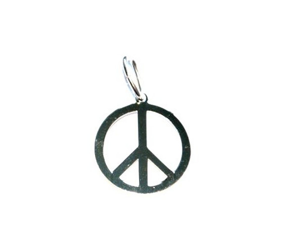 STS Peace Charm