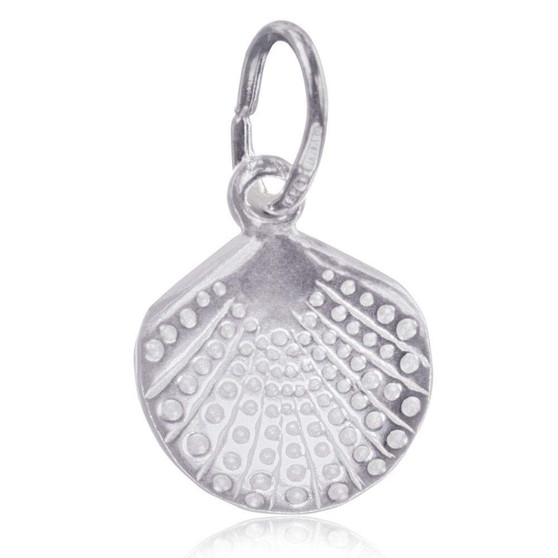 STS Sea Shell (large)