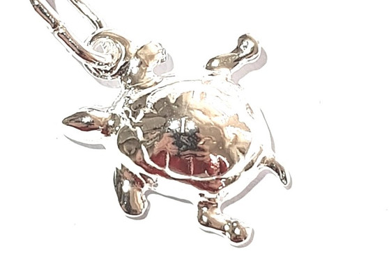 STS Sea Turtle Charm