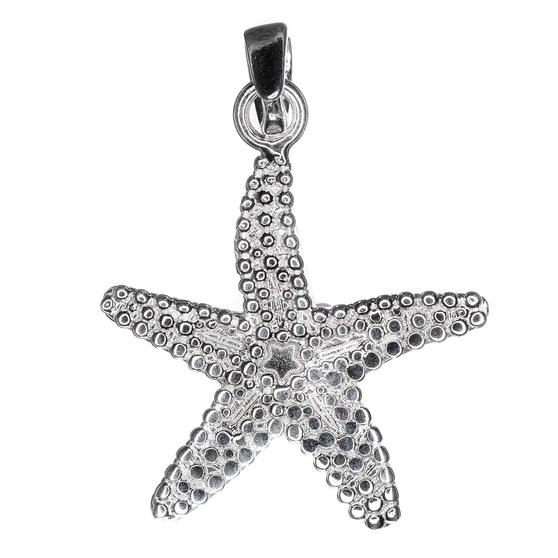 STS Starfish 2D Charm 