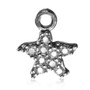 STS CZ Crystal Star Charm