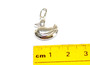 STS Duck Charm