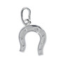 STS Horse Shoe (large) Charm