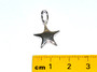 STS Star Charm - Small
