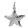 STS Starfish 3D Charm