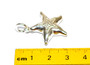 STS Starfish 3D Charm