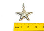 STS Starfish 3D Charm