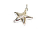 STS Starfish 3D Charm