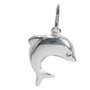 STS Dolphin (Large) Charm