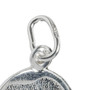 STS Dolphin (Large) Charm