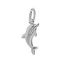 STS Dolphin (Small) Charm