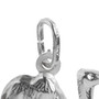 STS Camel Charm