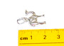 STS Camel Charm