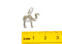 STS Camel Charm