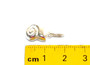 STS Snail Charm