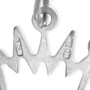 STS Princess Crown Charm