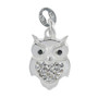 STS Owl (with crystal detail) Charm