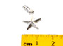 STS Star Charm - 3D