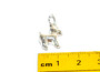 STS Dog Poodle (3D) Charm