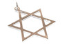 STS Star of David Religious Charm - Large