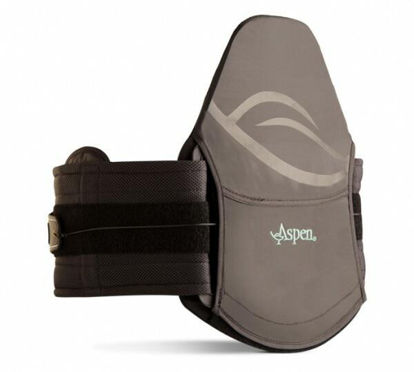 l0650 back brace
