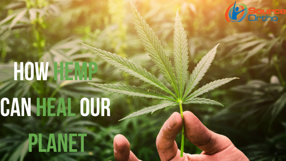 How Hemp Can Heal Our Planet