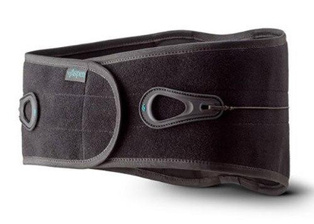 aspen lumbar support