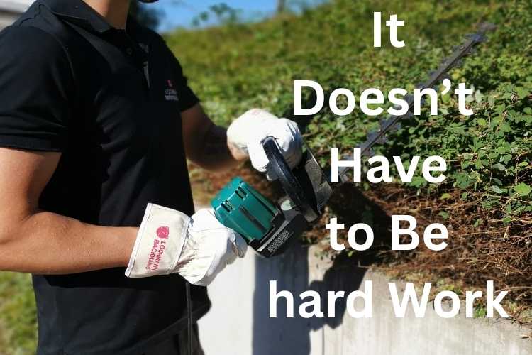 Low-Maintenance Hedging: 5 Garden Scenarios Solved with Easy-Care Plants