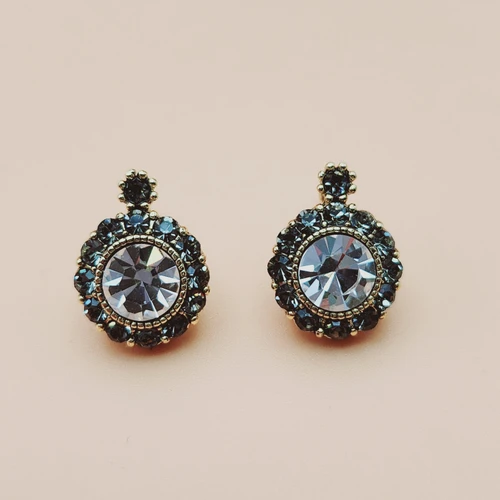 Crystal Circle Earrings
