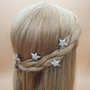 3D Crystal Star Hair Slide Set (Silver)