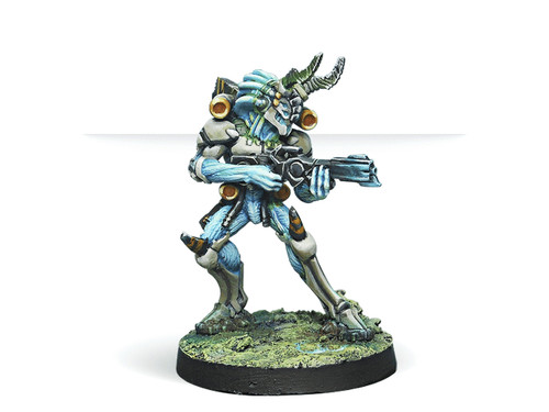 Kaauri Sentinels